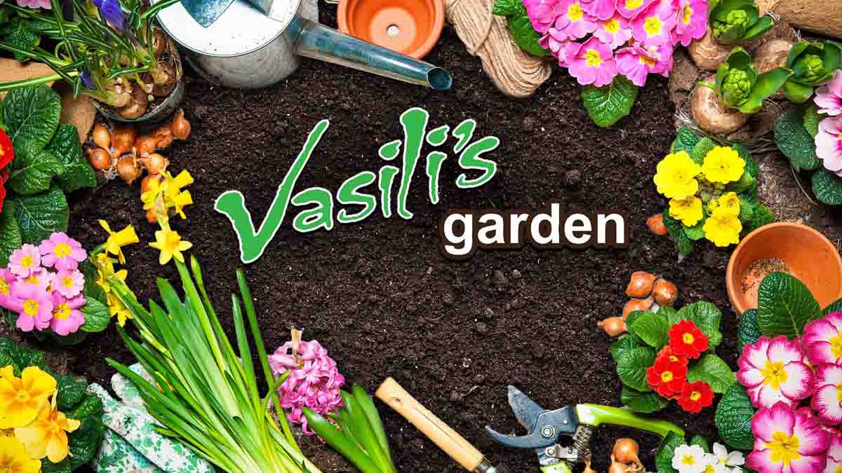 Watch Vasili S Garden Here On Tv Catchup Australia